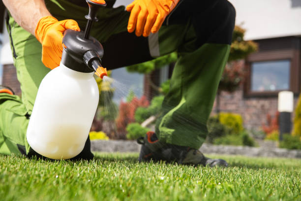 Best Pest Control Treatment  in Buckley, WA