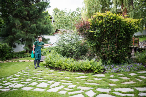 Best Mosquito Control Services  in Buckley, WA