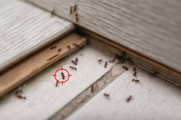 Buckley, WA Pest Control Company