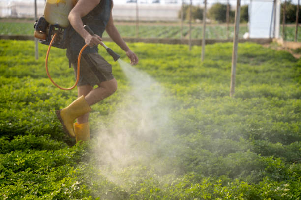 Best Pest Removal Services  in Buckley, WA